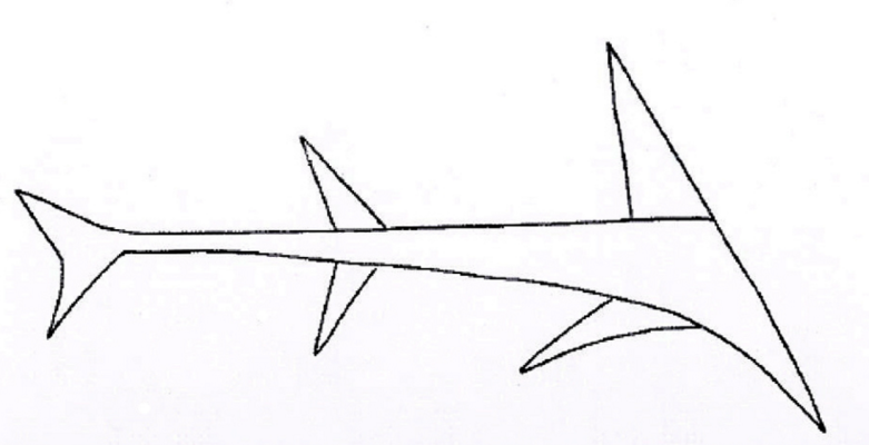 Изображение акулы на хвостовике_схема